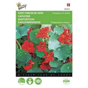 Buzzy® Tropaeolum, Oost-Indische kers Empress of India - afbeelding 2