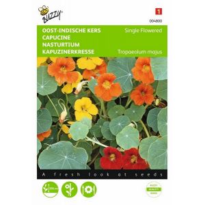 Buzzy® Tropaeolum, Oost-Indische kers enkelbloemig gemengd - afbeelding 1