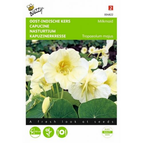 Buzzy® Tropaeolum, Oost-Indische kers Milkmaid - afbeelding 1
