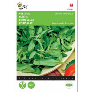 Buzzy® Veldsla Groene Volhart 2 - afbeelding 1