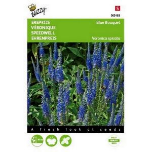 Buzzy® Veronica, Ereprijs Blue Bouquet - afbeelding 1