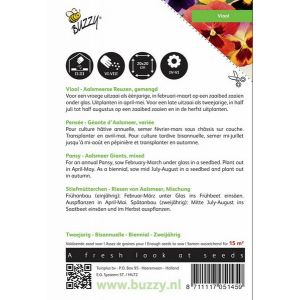 Buzzy® Viola, Viool Aalsmeerse Reuzen gemengd - afbeelding 2