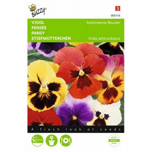 Buzzy® Viola, Viool Aalsmeerse Reuzen gemengd - afbeelding 1