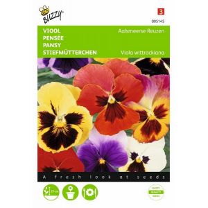 Buzzy® Viola, Viool Aalsmeerse Reuzen gemengd - afbeelding 1