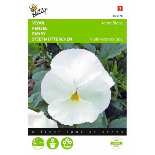 Buzzy® Viola, Viool Mont Blanc Zwitserse Reuzen - afbeelding 2