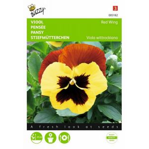 Buzzy® Viola, Viool Red Wing - afbeelding 1