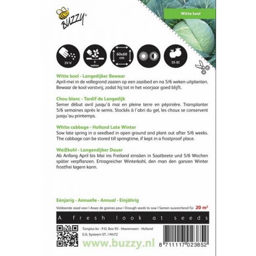 Buzzy® Witte kool Langedijker Bewaar - afbeelding 2