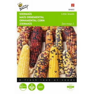 Buzzy® Zea Mays, Siermaïs Little Jewels gemengd - afbeelding 1