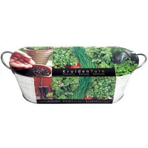 Buzzy® Zinken Teiltje Kruidentuin (12)