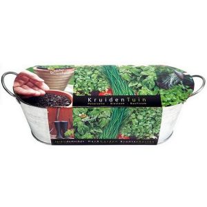 Buzzy® Zinken Teiltje Kruidentuin (12)