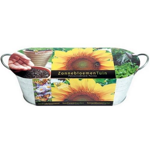 Buzzy® Zinken Teiltje Zonnebloem Tuin (12)