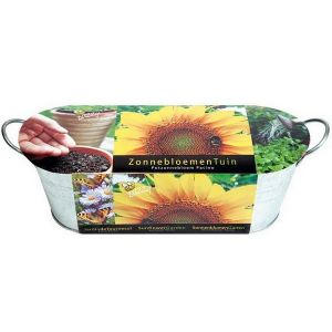 Buzzy® Zinken Teiltje Zonnebloem Tuin (12)