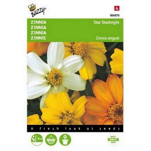 Buzzy® Zinnia Star StarbrigHortitops gemengd - afbeelding 1