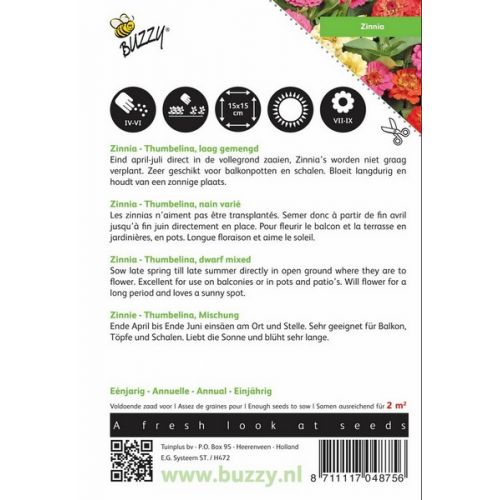 Buzzy® Zinnia Thumbelina gemengd - afbeelding 2