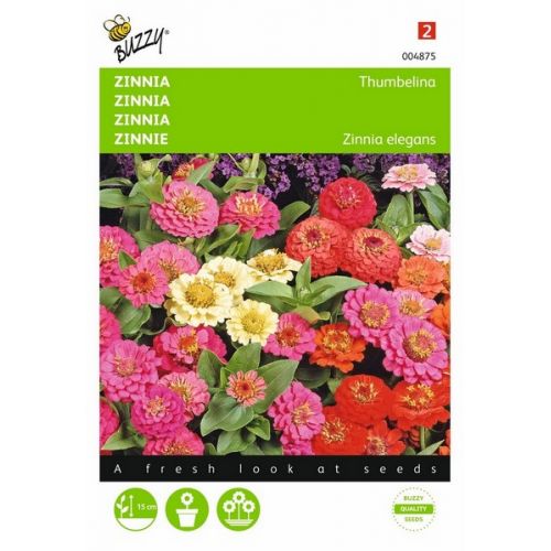 Buzzy® Zinnia Thumbelina gemengd - afbeelding 1