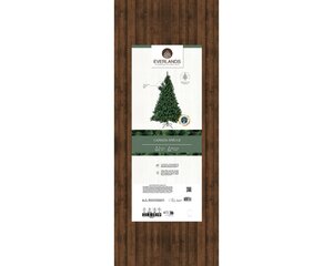Canada spruce l180cm groen - afbeelding 2