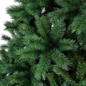 Canada spruce l210cm groen - afbeelding 8