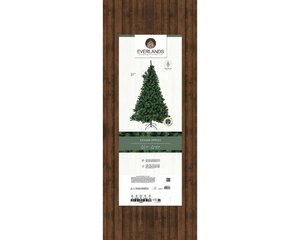 Canada spruce l210cm groen - afbeelding 2