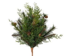 Cypress branch W20-H50cm groen