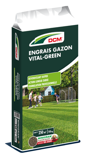 DCM Meststof Vital-Green Gazon 10 kg - afbeelding 2