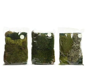 Decoris Mos - groen - 18 × 4 × 22 cm - afbeelding 1