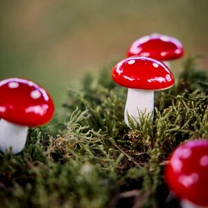 Decoris paddenstoel rood/wit – diameter 3 cm, hoogte 4 cm - afbeelding 2