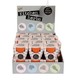 Display Buzzy® Bamboe Groeicadeau Bio Koriander  (30) - afbeelding 1