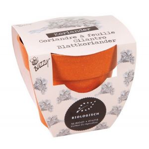 Display Buzzy® Bamboe Groeicadeau Bio Koriander  (30) - afbeelding 2