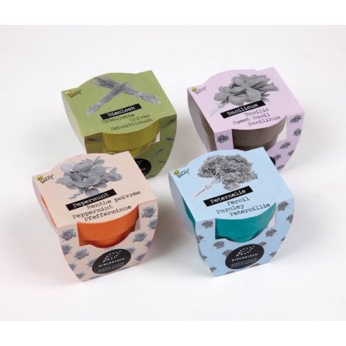 Display Buzzy® Bamboe Groeicadeau Bio Koriander  (30) - afbeelding 3