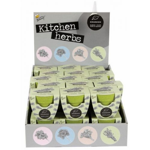 Display Buzzy® Bamboe Groeicadeau Bio Tijm (30) - afbeelding 1