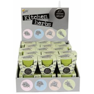 Display Buzzy® Bamboe Groeicadeau Bio Tijm (30) - afbeelding 1