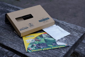 Ecostyle Larven lieveheersbeestje tegen bladluizen 100 st. - afbeelding 5