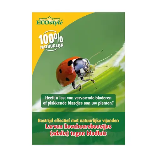 Ecostyle Larven lieveheersbeestje tegen bladluizen 100 st. - afbeelding 4