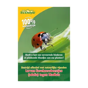 Ecostyle Larven lieveheersbeestje tegen bladluizen 100 st. - afbeelding 4