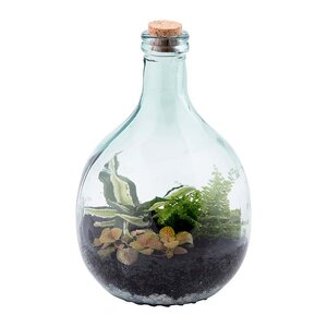 Esschert Terrarium fles 5 liter set - afbeelding 2