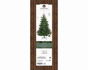 Everlands Alba kunstkerstboom - groen - H210/D127 cm - afbeelding 2