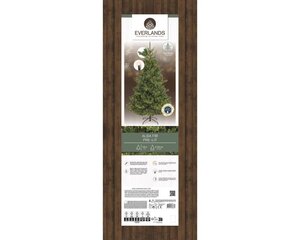 Everlands Alba 180 cm – met verlichting groen/warm wit – kunstkerstboom - afbeelding 6