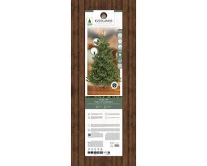 Everlands Alba kunstkerstboom met verlichting - groen/warm wit - H210/D127 cm - afbeelding 2