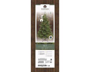 Everlands Alba kunstkerstboom met verlichting - groen/warm wit - H240/D137 cm - afbeelding 6