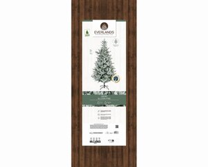 Everlands Allison boom besneeuwd - groen/wit - H240/D152 cm - afbeelding 2