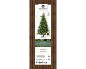Everlands Allison boom groen dia152-H240cm - afbeelding 2