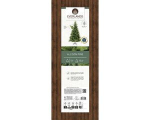 Everlands Allison boom groen dia81-H120cm - afbeelding 2