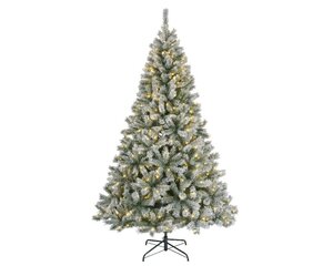 Everlands Canada kunstkerstboom met rijpafwerking met verlichting - groen/wit/warm wit - Ø 117 cm - afbeelding 1