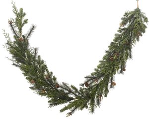 Everlands Cypress slinger - groen - Ø 10 cm