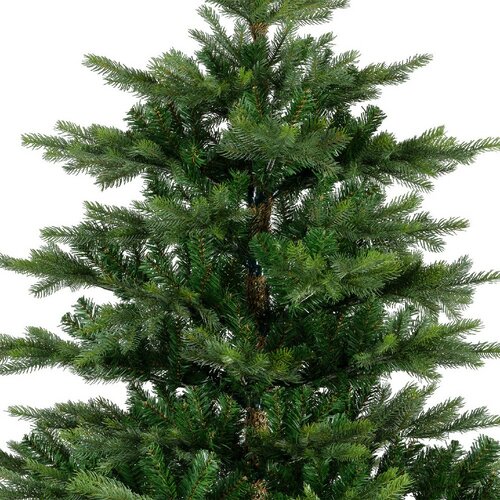 Everlands Grandis fir groen dia162-H240cm - afbeelding 3