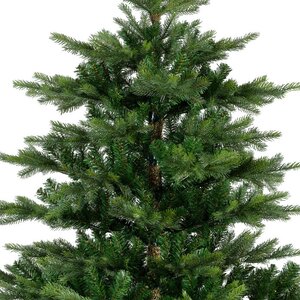 Everlands Grandis fir groen dia162-H240cm - afbeelding 3