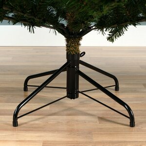 Everlands Grandis fir groen dia162-H240cm - afbeelding 4
