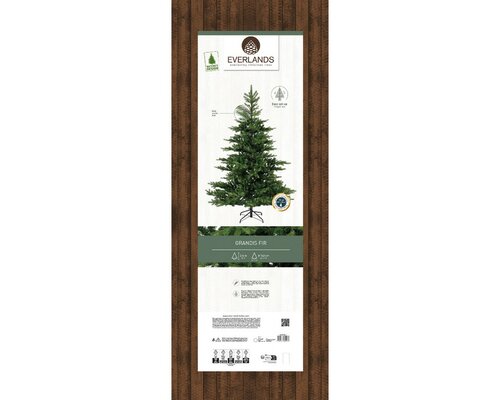 Everlands Grandis fir groen dia162-H240cm - afbeelding 2