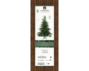 Everlands Grandis fir groen dia162-H240cm - afbeelding 2