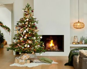 Everlands Grandis fir groen dia162-H240cm - afbeelding 6